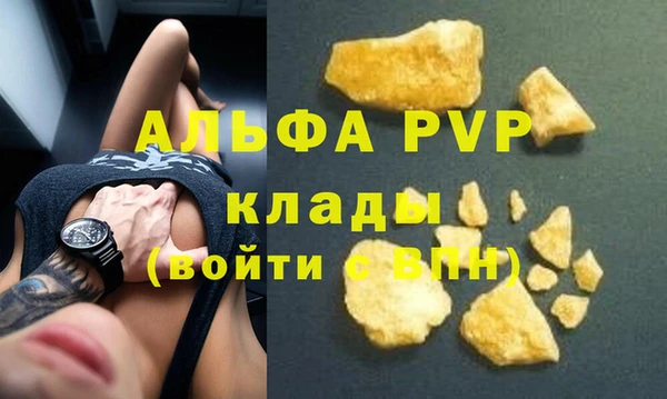 гидра Надым