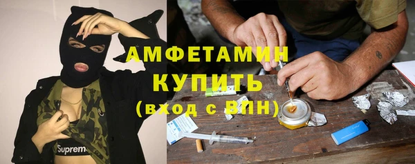 тгк Абаза